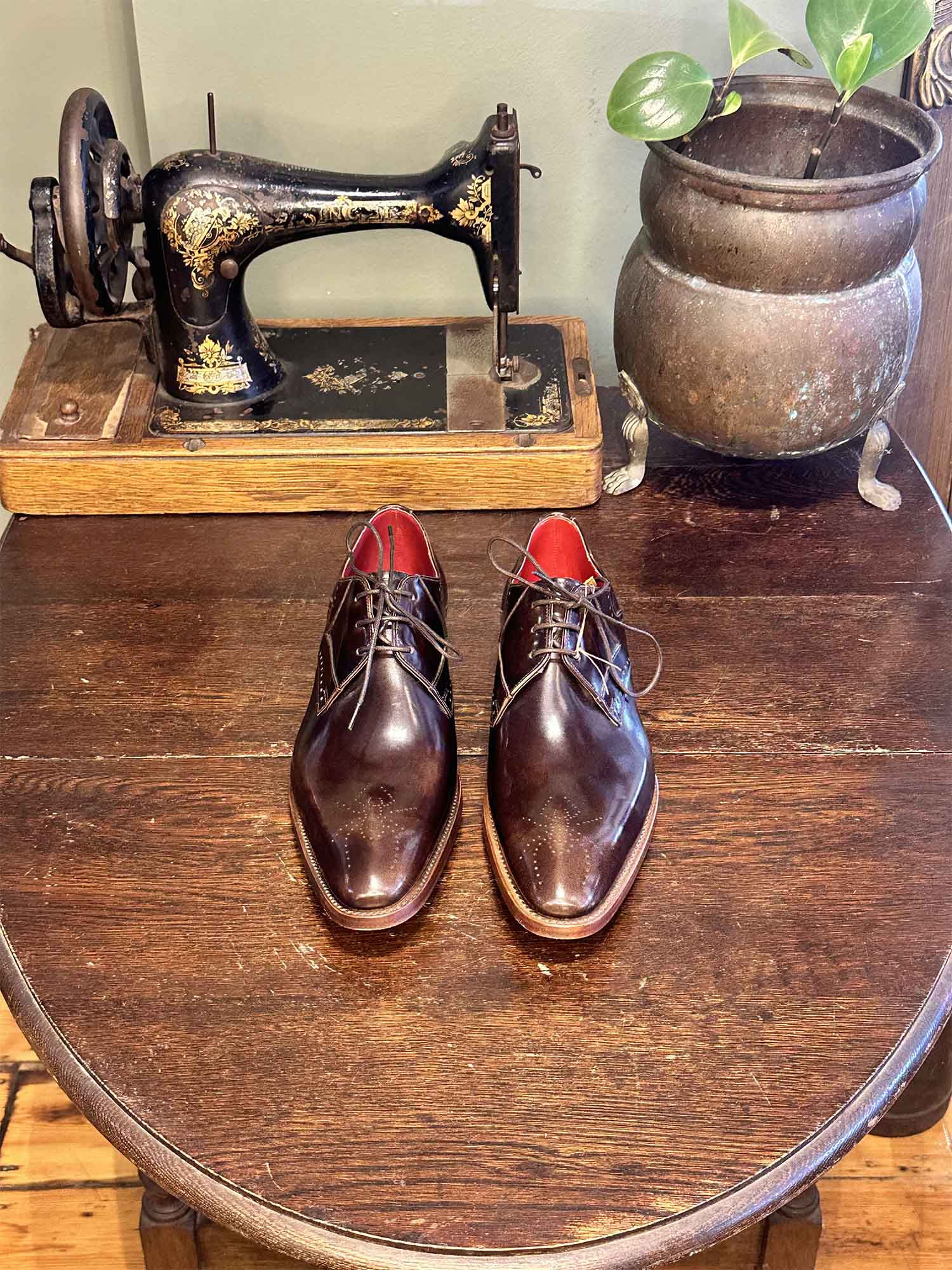 Brilleaux Spider - Brown